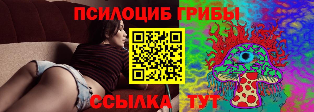 Псилоцибиновые грибы Psilocybine cubensis  Вход с VPN  Камышин 