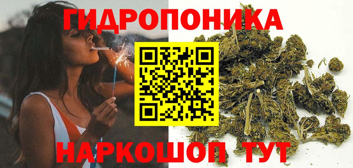 МАРИХУАНА ГИДРОПОН Камышин